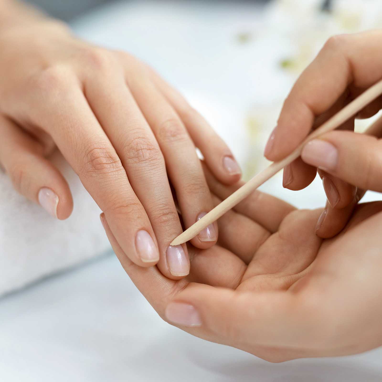  <span class="lte-header lte-h5"> MANICURE </span> 